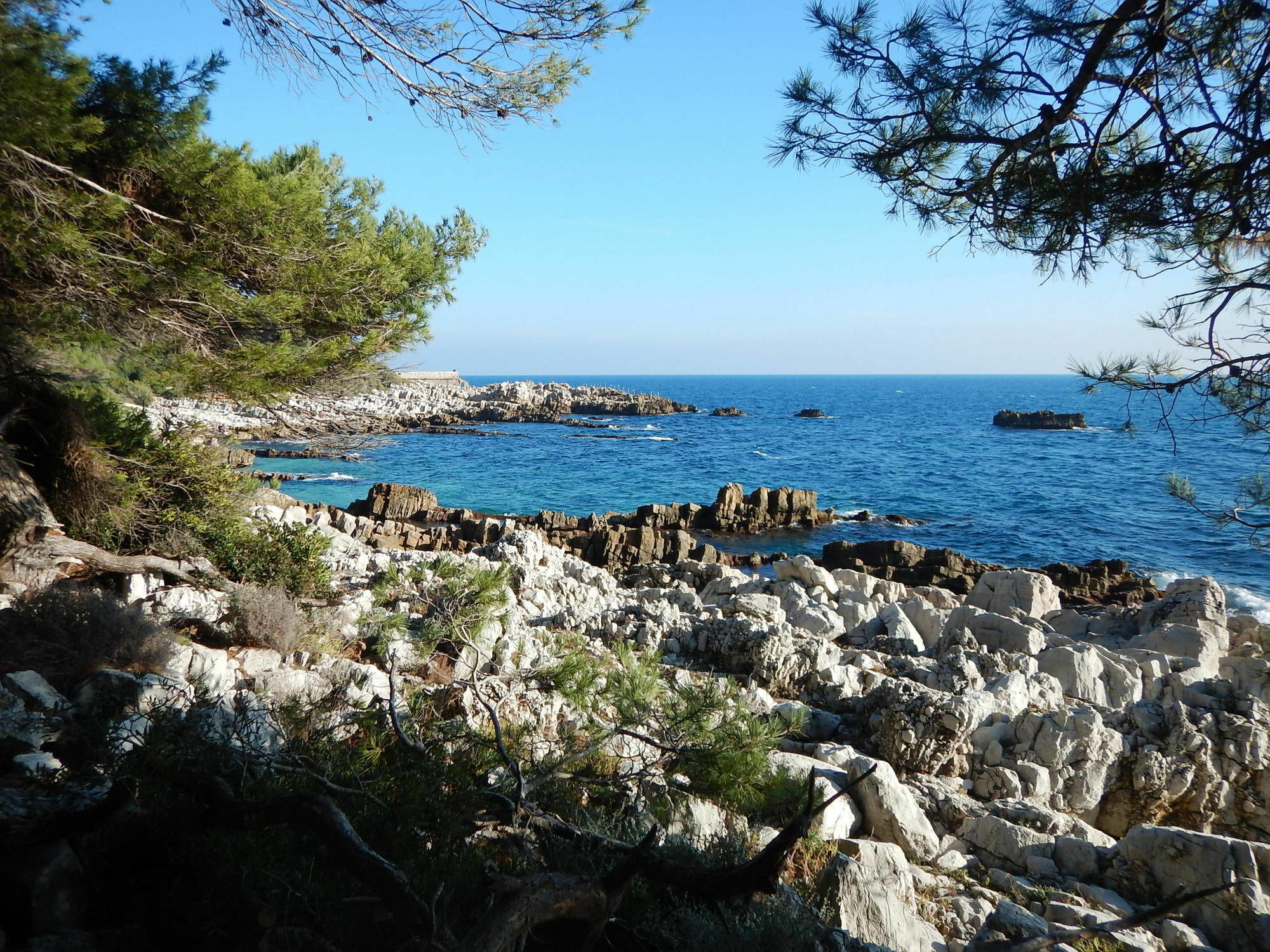 Hotel Miramar- Cap D'Antibes - La Garoupe Plage Exterior foto